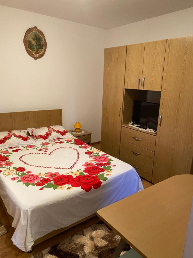 Garsoniera Delfinariu Hotel Constanta Ngoại thất bức ảnh