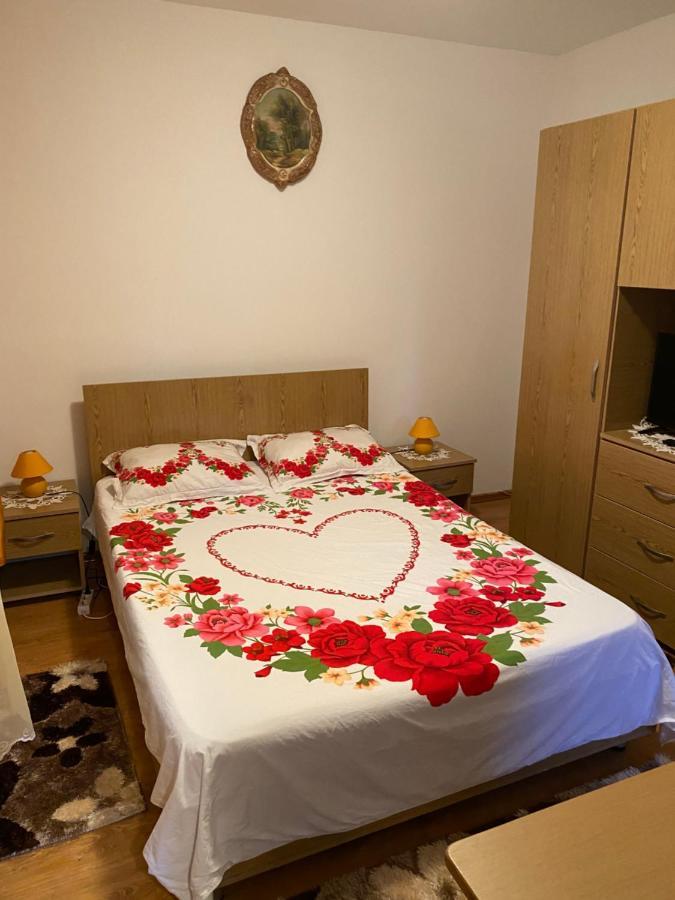 Garsoniera Delfinariu Hotel Constanta Ngoại thất bức ảnh
