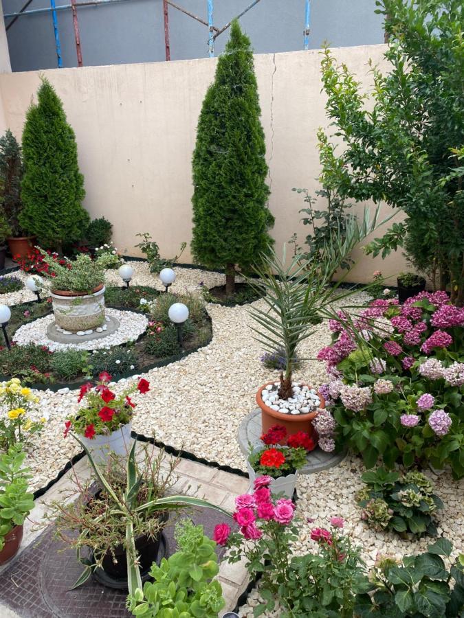 Garsoniera Delfinariu Hotel Constanta Ngoại thất bức ảnh